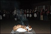 040.jpg