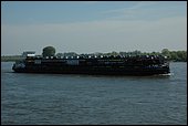 097.jpg