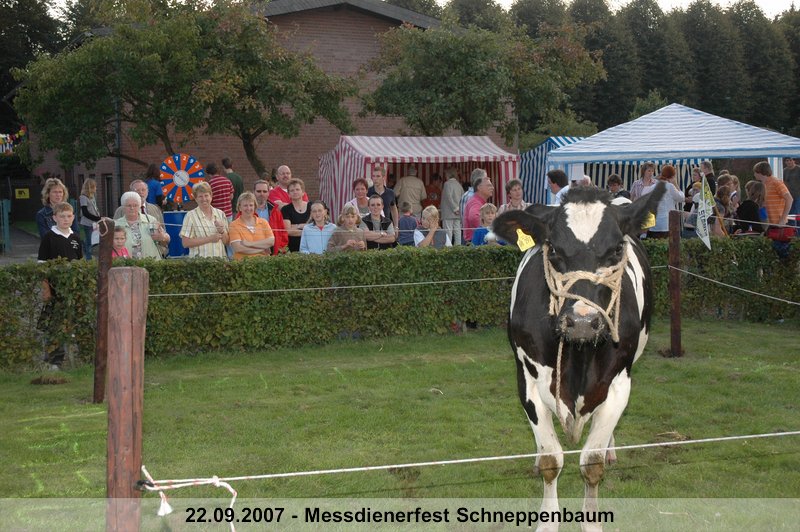 015.jpg